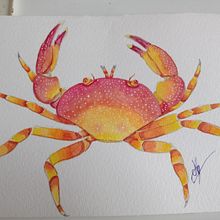 Crab - Watercolor. Un projet de Illustration traditionnelle de Nayara Guimarães - 04.03.2024