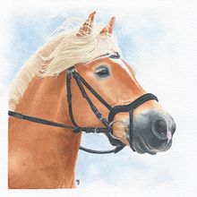 Commandes réalisées en 2023. Un proyecto de Pintura a la acuarela, Ilustración tradicional y Dibujo de Retrato de Morgane Bouiller - 05.03.2024