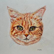 Mein Abschlussprojekt für den Kurs: Haustierporträts mit Buntstiften. Een project van Traditionele illustratie y Naturalistische illustratie van henrikeboedler - 05.03.2024