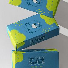My project for course: Brand Identity Design: Expressing Visual Meaning. Projekt z dziedziny Design,  Manager art, st, czn, Br, ing i ident, fikacja wizualna, Projektowanie graficzne, Projektowanie logot i pów użytkownika Nataliia Fisenko - 05.03.2024