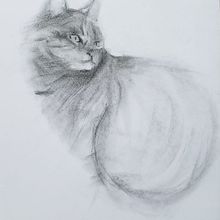 Meu projeto do curso: Desenho expressivo com carvão. Artes plásticas, Desenho, Desenho de retrato e Ilustração naturalista projeto de Maurício Yabiku - 21.02.2024