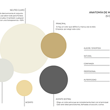 LIVRE By Rosy Acevedo. Instagram, and Education project by rosibel_acevedo3 - 03.06.2024