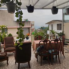 Mi proyecto del curso: Diseño de espacios verdes para tu casa . % Ana María Chaparro Quevedo tarafından hazırlanan Pe, zaj Mimarisi, Çiçek ve Bitki Tasarımı, Ve Mekansal Tasarım projesi - 03.08.2024