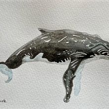 My project for course: Naturalist Illustration Techniques: Whales in Watercolor. Fine Arts, Painting, Watercolor Painting, and Naturalistic Illustration project by Sandra Rohde - 03.08.2024