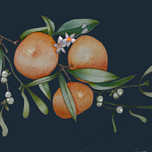 Calendario botánico 2024. Un progetto di Illustrazione tradizionale, Pittura ad acquerello e Illustrazione botanica di Marieta Alonso-Collada - 01.01.2024