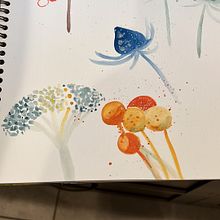 My project for course: Artistic Floral Watercolor: Connect with Nature. Watercolor Painting, and Botanical Illustration project by monicaveleta - 03.08.2024