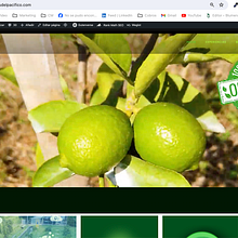 Mi proyecto del curso: WordPress: crea una web profesional desde cero. Web Design, Web Development, No-Code Development, and Digital Product Design project by Johan Fernando López López - 03.05.2024