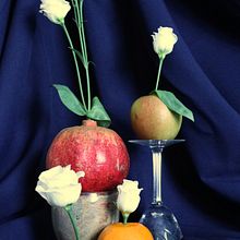 Mein Abschlussprojekt für den Kurs: Stilllebenfotografie mit Pflanzen. Product Photograph, Fine-Art Photograph, Lifest, and le Photograph project by silke_mehring - 03.10.2024