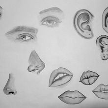 Partes de la cara. Figure Drawing project by lara_albiacc - 03.10.2024