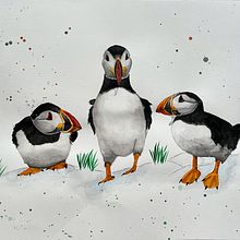 My project for course: Artistic Watercolor Techniques for Illustrating Birds. Projekt z dziedziny Trad, c, jna ilustracja, Malowanie akwarelą, R, sunek realist, czn, Ilustracja naturalist i czna użytkownika z1sk4 - 10.03.2024