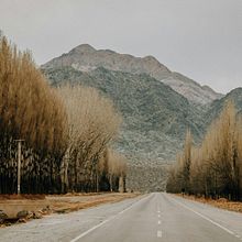 Mi proyecto del curso: Diseño de presentaciones: crea una plantilla profesional. .. Un progetto di Gestione progetti di design, Graphic design, Design dell’informazione, Marketing, Comunicazione e Design di presentazioni di Luisina Botta - 29.02.2024