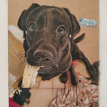 Il mio progetto del corso: Ritratto di animali da compagnia con matite colorate Ein Projekt aus dem Bereich Traditionelle Illustration von Angela Della Malva - 11.03.2024
