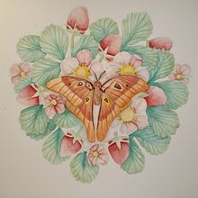 Mi proyecto del curso: Dibujo y composición naturalista en acuarela. Un proyecto de Ilustración tradicional, Dibujo, Pintura a la acuarela e Ilustración naturalista				 de praga_1 - 11.03.2024