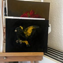 My project for course: Classical Oil Painting for Naturalist Bird Portraiture. Projekt z dziedziny  Sztuki piękne,  Malarstwo, Malarstwo olejowe, Ilustracja naturalist i czna użytkownika catherinavst - 12.03.2024