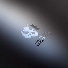 Logotype / Logotipo / Bussiness Card / Tarjeta de Visita / Lejano Oriente. Design, Advertising, Br, ing, Identit, Events, Graphic Design, Creativit, and Logo Design project by Ion Benítez - 03.01.2024