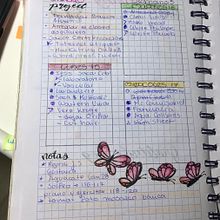 Mi proyecto del curso: Bullet journal creativo: planificación y creatividad. Un proyecto de Ilustración tradicional, Lettering, Dibujo, H, lettering, Gestión y productividad							 de Carmen Torres Jarrin - 09.03.2024