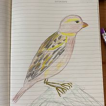 My project for course: Illustrated Life Journal: A Daily Mindful Practice. Un progetto di Belle arti, Bozzetti, Creatività, Disegno e Sketchbook di TEODORA GHITA - 13.03.2024