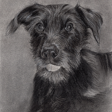 Buba. Ilustração tradicional, Artes plásticas, Desenho, Desenho de retrato, Desenho realista, e Desenho artístico projeto de Begoña Blázquez Parro - 12.03.2024