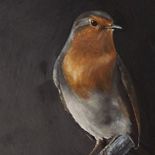 Mi proyecto del curso: Pintura al óleo para retrato naturalista de aves . Arte plastice, Pictura, Pictură în ulei & Ilustrație naturalistă de lauhn23 - 03.14.2024
