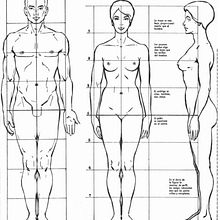 DA - Figura humana Delante, De frente, De detrás - Proporción de las 8 cabezas. Pencil Drawing project by Victor Martinez - 02.28.2024