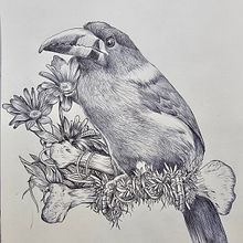 Mi proyecto del curso: Ilustración naturalista con bolígrafo. Traditional illustration, Drawing, Realistic Drawing, and Naturalistic Illustration project by joaquindiez.bcn - 03.14.2024