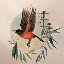Final Project (for Botanical Watercolor Painting of the Natural World). Fine Arts, Painting, Watercolor Painting, Botanical Illustration, and Naturalistic Illustration project by jmailhot236 - 03.16.2024
