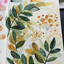 My project for course: Artistic Floral Watercolor: Connect with Nature. Un proyecto de Ilustración tradicional, Pintura, Pintura a la acuarela e Ilustración botánica de Teresa Figueiredo - 16.03.2024