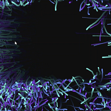 My project for course: Creative Coding: Immersive Art with openFrameworks. Projekt z dziedziny  Motion graphics, Programowanie i Multimedia użytkownika Chansu Shin - 11.03.2024