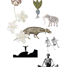 Mi proyecto del curso: Collage digital para medios editoriales. Graphic Design, Collage, Digital Illustration, and Editorial Illustration project by Violeta Castillo - 03.17.2024