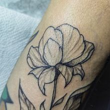 Mi proyecto del curso: Tatuaje botánico con puntillismo. Traditional illustration, Tattoo Design, and Botanical Illustration project by Beatriz De La Rosa - 03.17.2024