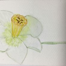 Mi proyecto del curso: Ilustración botánica con acuarela. Un proyecto de Ilustración tradicional, Bellas Artes, Pintura, Dibujo, Pintura a la acuarela e Ilustración botánica de msaiz2010 - 17.03.2024