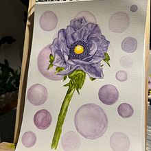 Acquarello botanico anemone. Un progetto di Pittura di Alessandra Roncagliolo - 28.02.2024