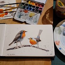 Mein Abschlussprojekt für den Kurs: Illustriere Vögel mit expressiven Aquarelltechniken. Un projet de Illustration traditionnelle, Aquarelle, Dessin réaliste et Illustration naturaliste de Kerstin - 18.03.2024