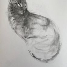 Mon projet du cours : Dessin expressif au fusain. Un proyecto de Bellas Artes, Dibujo, Dibujo de Retrato e Ilustración naturalista				 de mariednt - 20.03.2024