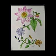 Mi proyecto del curso: Acuarela realista para composiciones botánicas. Un progetto di Illustrazione tradizionale, Pittura, Disegno, Pittura ad acquerello e Illustrazione botanica di Marimar Gomez - 21.03.2024