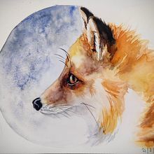 My project for course: Expressive Animal Portraits in Watercolor . Ilustrasi tradisional, Lukisan Cat Air, Gambar Realistis & Ilustrasi Naturalistik proyek oleh Sarah Macdonald - 03.21.2024