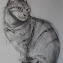 My project for course: Expressive Drawing with Charcoal. Een project van  Beeldende kunst,  Tekening,  Portrettekening y Naturalistische illustratie van Hilary White - 22.03.2024