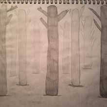 Mi proyecto del curso: De principiante a superdibujante. Design, Traditional illustration, Pencil Drawing, and Drawing project by javier almonte - 03.23.2024