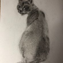 Mon projet du cours : Dessin expressif au fusain. Projekt z dziedziny  Sztuki piękne,  R, sunek, Portret, Ilustracja naturalist i czna użytkownika fabiennebegonia - 23.03.2024