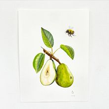Mi proyecto del curso: Ilustración botánica realista: conecta con la naturaleza. Painting, Watercolor Painting, Botanical Illustration, and Naturalistic Illustration project by Adri Ortiz - 03.24.2024
