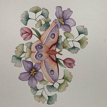Mi proyecto del curso: Dibujo y composición naturalista en acuarela. Un proyecto de Ilustración tradicional, Dibujo, Pintura a la acuarela e Ilustración naturalista				 de oller_ana - 24.03.2024