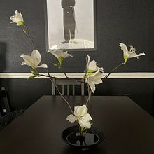 Ikebana. Floral, and Plant Design project by Yukiji Denton - 03.24.2024