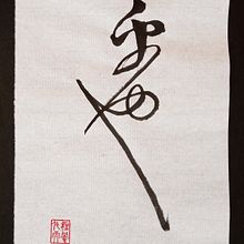 Fragmento de Zhao Ji, Mil caracteres clásicos, 30x20cm. Calligraph project by Cesar Juan Jorda - 03.24.2024