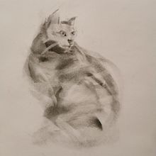 My project for course: Expressive Drawing with Charcoal. Fine Arts, Drawing, Portrait Drawing, and Naturalistic Illustration project by Ragna Marie Qvam - 03.25.2024