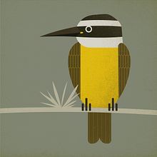 Benteveo. Vector Illustration project by Sandra Grinberg - 03.26.2024