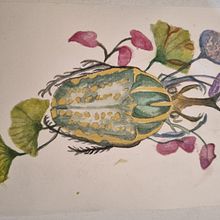 Meu projeto do curso: Aquarela botânica: pinte o mundo natural. Projekt z dziedziny  Sztuki piękne,  Malarstwo, Malowanie akwarelą, R, sunek botaniczn, Ilustracja naturalist i czna użytkownika paulabcpreta - 26.03.2024