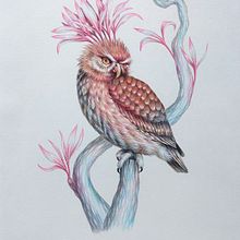 My project for course: Surrealist Illustration Inspired by Nature. Traditional illustration, Pencil Drawing, Drawing, Artistic Drawing, Naturalistic Illustration, and Colored Pencil Drawing project by Volha Hracholskaya - 03.26.2024