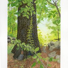 My project for course: Landscape Painting with Gouache for Beginners. Fine Arts, Painting, Naturalistic Illustration, and Gouache Painting project by Sr. Mary Joseph Peterson - 03.26.2024