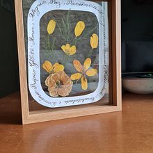 Meu projeto do curso: Caligrafia inglesa do A ao Z. Projekt z dziedziny  Kaligrafia użytkownika Marcel R. Queiroz - 26.03.2024