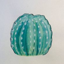 Sketchbook botánico: una aproximación meditativa, Tulipán, Suculenta y Cactus. Traditional illustration, Sketching, Drawing, Watercolor Painting, Botanical Illustration, and Sketchbook project by Beatriz Garcia - 03.12.2024